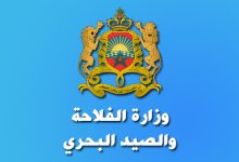 وزارة الفلاحة والصيد البحري قطاع الفلاحة